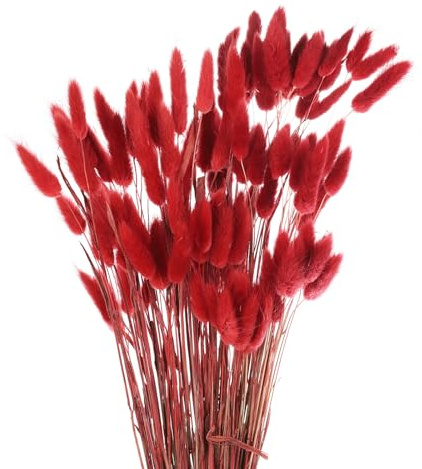 QUARKZMAN 100pcs Colas De Conejo Naturales Secas Flores Secas De Pampas 18 Mini Hierba de Pampa Lagurus Ovatus Ramo para Decoración Floral En El Hogar, Rojo