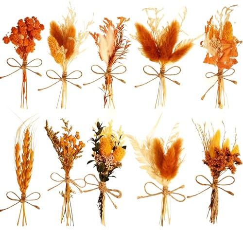 Mini torkad blombukett 12 st, naturliga små torkade blommor för DIY hantverk, boho heminredning och bröllop (Orange)