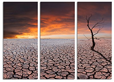 Paul Sinus Art 130x90cm – Keilrahmenbild trockener Baum trockene Erde 3teiliges Wandbild auf Leinwand und Keilrahmen - Fotobild Kunstdruck Artprint
