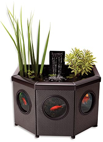Blagdon Affinity View Half-Moon Living Water Feature Patio Pool Pond, with Inpond 5-in-1 2000 Filter Pump & LED Spotlight, 3 Attractive Fountain Feature Heads, 1 Planting Basket - Small, Black
