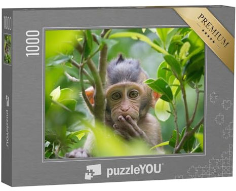 puzzleYOU: Puzzle 1000 Teile „EIN niedlicher AFFE lebt in einem natürlichen Wald in Thailand.“ – aus der Puzzle-Kollektion Affen, Tiere in Dschungel & Regenwald