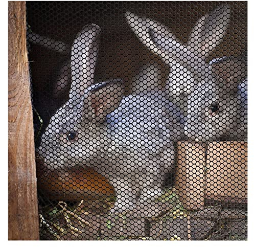 YXXSDP Garten Geflügel Schwarz Hühnerdraht, Kunststoff Zaunrolle/Garten-Netz/Geflügelnetz, Für Oberirdischen Pool Haustier-Hirsch-Huhn-Hunde-Kaninchen (Color : W 120cm/47.2in, Size : L 40m/131.2ft)