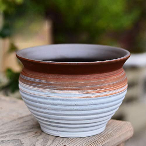 Vaso da fiori viola per piante grasse Vasi per piante da interno con foro di drenaggio Mini bacinella carnosa in ceramica multicolore Ideale per la decorazione del giardino domestico dell'ufficio