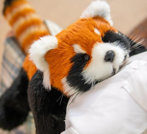 Chongker Plüsch Kuscheltier Roter Panda 70cm – Roter Panda Plüschtier für Erwachsene und Kinder – Flauschiger Stofftier Panda zum Spielen, Sammeln & Kuscheln – Gemütliches Schmusetier