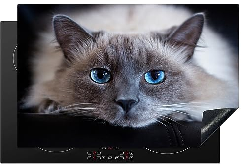 MuchoWow Herdabdeckplatte Ceranfeld Spritzschutz Küche Katze - Grau - Nahaufnahme 81x52 cm Induktionsherd Abdeckung Induktionskochfeld Ceranfeldabdeckung