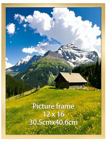 Ditwis Cornice 30x40, Cornice Oro per Poster, Foto, Opere d'Arte e Puzzle 40x30 cm, Porta Poster da Parete per Casa, Ufficio e Gallerie