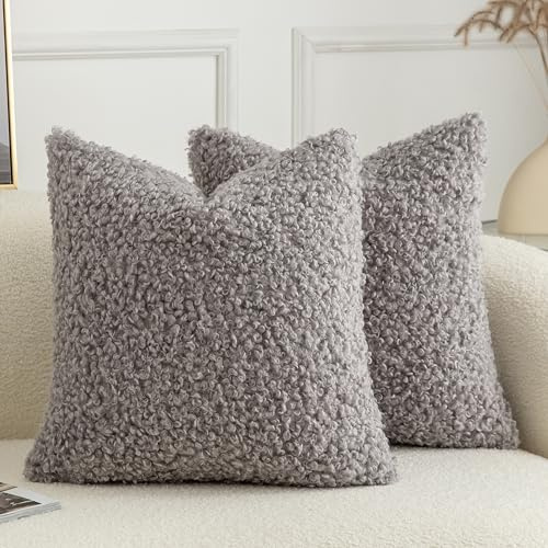 Joyouth 2er Set Curly Teddy Wolle Faux Pelz werfen Kissenbezug Abdeckungen Fuzzy Akzent weiche Sherpa Kissenbezüge Schaffel Fleece Dekorative Kissen Fall für Sofa Couch Wohnzimmer 40x40 cm Hellgrau