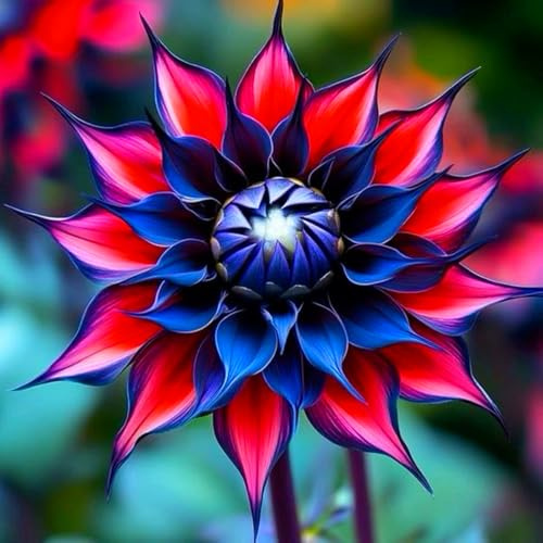 Dahlia Bulbs UK, Potted-Plants-Rhizome,Dahlia Plants for Garden,Excellent Display-10bulbs-D