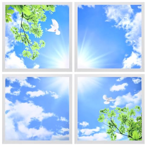 Long Life Lamp Company Blue Sky LED Ceiling Panel 600 x 600 Sun Birds Cloud Sky Scene Recessed Office Light with Transformers 4 Set SKY03