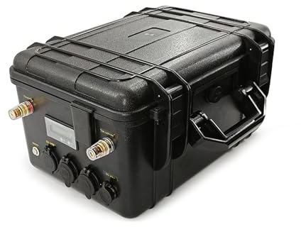 WILLQ Batteria al Litio Ferro fosfato 12V 200Ah 100Ah 12.8V LiFePO4 per Camper/accumulo di energia Solare/fotovoltaica/Batteria per propulsore fuoribordo,12.8v100ah