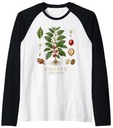 Coffee Coffea Arabica Vintage Botanical Anatomy Study Plate Raglan Baseball Tee