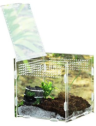 Reptilien-Futterbox – Magnetische Reptiliengehege – Reptilienzuchtgehege Terrarienkäfig für Vogelspinnen, Amphibien, Raupen, Schneckenbedarf Fanelod