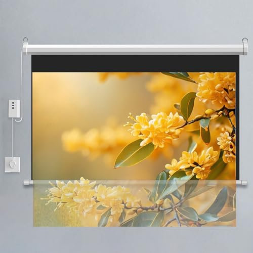 Home Theater Projektionsduk HD 4K, Antikrull Projektionsduk Med Fjärrkontroll För Hem, Skola, Bio, Teater, Utomhus Och Inomhusbruk, Vägg Och Takmonterad(60-16:9)