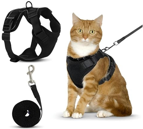 Verstellbare Katzenleine + Geschirr – Weiches, sicheres und atmungsaktives Material für Katzen, Schwarz (XS)