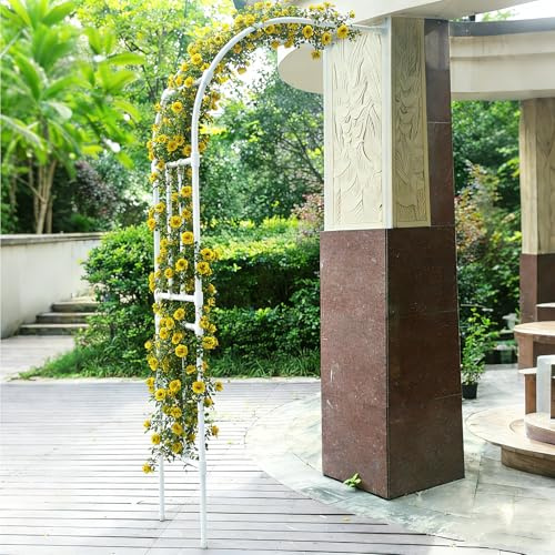 Dexinhdh Arche De Jardin Latérale, Treillage Métallique pour Plantes Grimpantes, Conception Modulaire, Grande Arche Décorative pour Jardin, Idéale pour Les Fleurs, Les Légumes(White,120cm)
