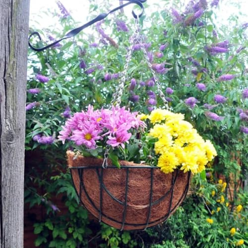 garden mile® Hängekörbe, verschiedene Größen, dekorativ, für den Innen- und Außenbereich, Wandmontage, Pflanzkorb, grüner Jute-Draht, Kokosauskleidung (30,5 cm, grüner Draht-Hängekorb)