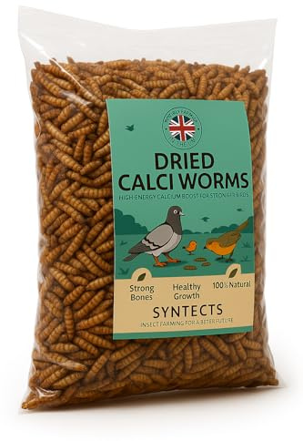 British Farmed Dried Calci Worms 800g – Premium Wild Bird Food, High Calcium, Oven-Baked Insect Protein for Garden Birds & Hedgehogs