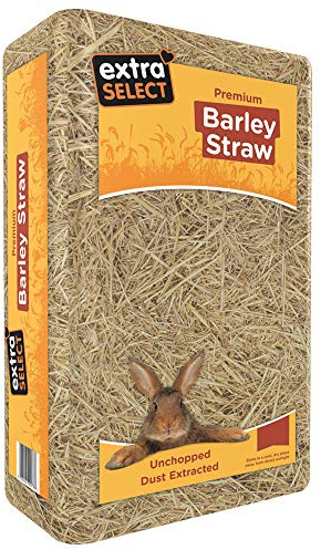 Extra Select Barley Straw Bedding - Soft Animal Bedding for Rabbit, Tortoise, and More - 3 kg (Pack of 2)