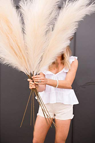 5 pièces Artificielle Pampa Herbe 47in 120cm Bouquet Bricolage Vase Nouvel an Vacances fête de Mariage décoration de la Maison Plante Simulation Fleur Roseau