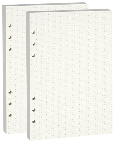 A5 6-Loch Loseblatt-Papier (2 Packungen, je 80 Blatt, 100 g/m², Beige) - Ideal für Notizen, Büroarbeit, Journaling, Kunstprojekte und mehr - Passend für A5 6-Ring-Ordner, doppelseitig ohne Durchschlag