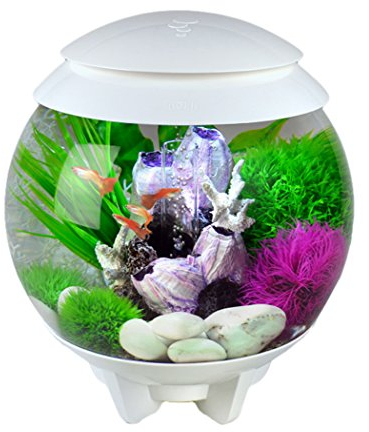 biOrb HALO MCR, 15l, weiß
