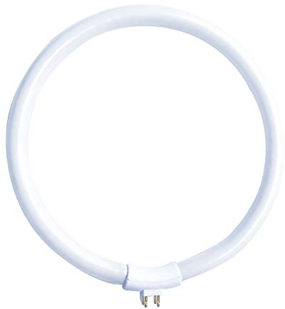 Lampe fluorescente T4 22 W/865, blanc froid 6500 K, lumière du jour G10q, convient à l’extérieur, 4 broches