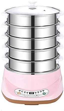 MQPALZKD Vaporiera Elettrica per Uso Domestico Spegnimento Automatico Multifunzione Vaporiera in Acciaio Inox Vaporiera A Tempo Vaporiera per Alimenti