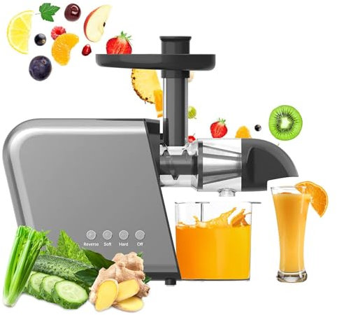 Professionell Slow Masticating Juicer, Cold Press Slow Juicer Extractor, High Yield Vertikal Juicer Citron Juicer för frukt och grönsaker