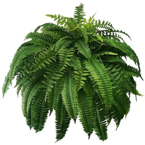 Xoeryoy Artificiella 94 cm 66 löv realistiska ormbunkar plast falska ormbunkar dekorativa krukväxter eller hängande konstgjorda växter för utomhus gård trädgård