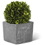 K&K Interiors 15004A-1 - Bola Redonda de boj de 7 Pulgadas en Maceta Cuadrada Oscura, Verde y Gris