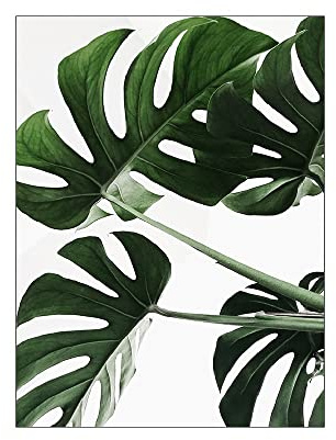 ABCWARRT Grüne Pflanze Malerei Monstera Poster Wandkunst Leinwand Bild Nordic Blätter Kaktus Poster Für Wohnzimmer Schlafzimmer Wohnkultur (30 * 40cm Kein Rahmen,7)