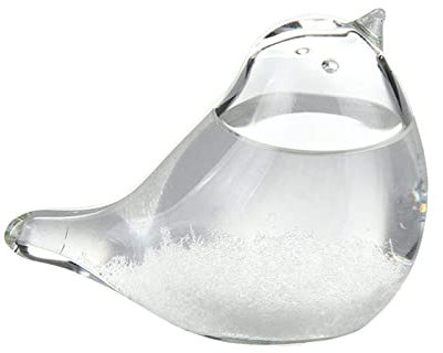 Barometre A Cristaux, Tempête en Verre Stations Météo,Décoration De Table De Bouteilles De Baromètre en Forme D'oiseau Artisanal,Station Météo Baromètre en Forme D'oiseau pour Maison