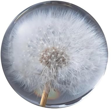Briefbeschwerer Pusteblumen-Traumball. Kristallwunsch. Einzigartig aus. Das perfekte Geschenk. (9 cm) Durchmesser