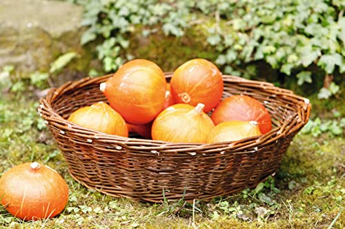 Dekoleidenschaft Füllkorb Maxi Erntekorb aus Weide, braun, Ø 50x14 cm, Obstschale, Dekoschale