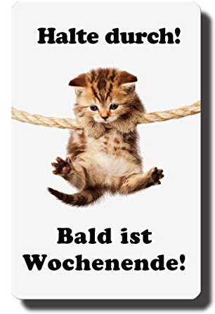 Metall Kühlschrankmagnet Katze lustig mit Katzenmotiv Spruch Halte Durch Deko Magnet Katzen Sprüche Geschenk für Katzenliebhaber Kühlschrank Magnettafel