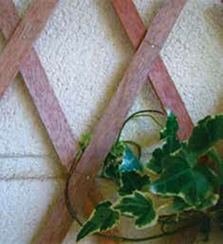 VERDELOOK Traliccio Estensibile in Legno Naturale, 100x300 cm, Decorazioni terrazza