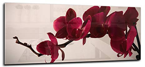 Canvasfly Wandpaneele für Küche Deko-Spritzschutz für Küchenrückwand Glas Bilder Gehärtet Küchen-Deko Glasplatte aus Vorgespanntem Glas Küchenrückwandplatte 150x60 Orchidee