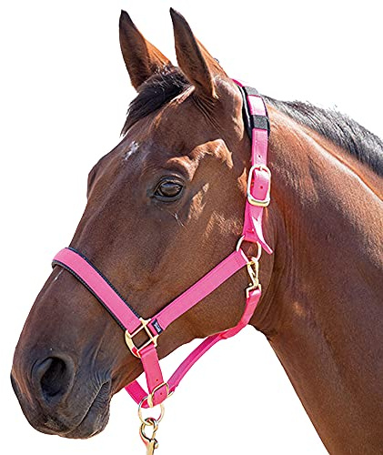Skjortor Topaz nylon huvudkrage (387) rosa XXS