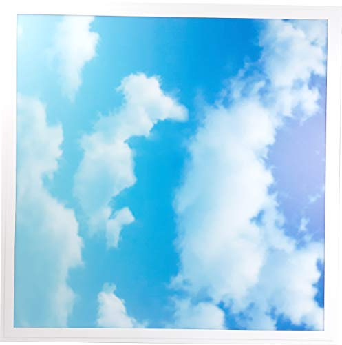 6x48W Sky Cloud Pattern LED Flat Slim Panel Light Ceiling Lamp 600x600 mm + Drive
