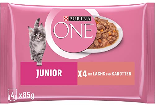 PURINA ONE Junior Lachs und Karotten