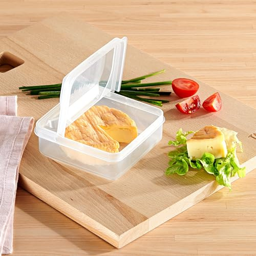 3 PAGEN Fiambrera con tapa abatible para guardar embutidos, frutas y verduras, ideal para alimentos con olor intenso, fácil acceso gracias a su tapa abatible, organiza el frigorífico
