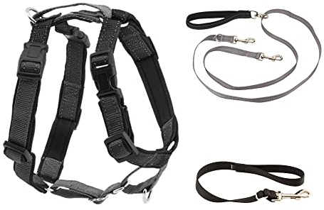 PetSafe 3-in-1-Geschirr mit Zweipunkt-Kontrollleine – kein Ziehen – Größe S – Schwarz – verstellbar
