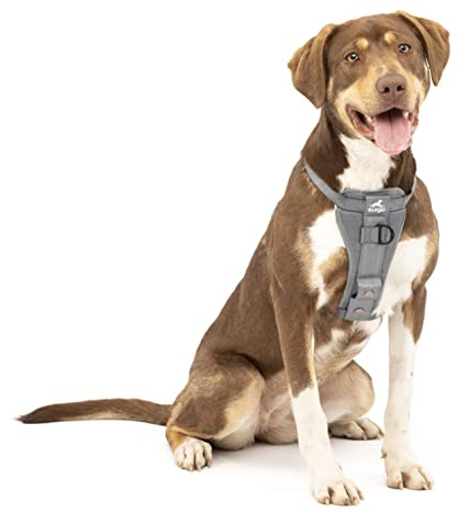 Kurgo TRU-Fit Hundegeschirr, Crash-Test-erprobtes Auto-Sicherheitsgurt, Für Hunde von 2 bis 5 kg, Größe M, Grau