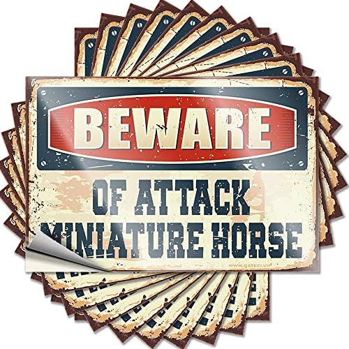 Accessori auto Beware of Attack cavallo in miniatura adesivi divertenti 10 pezzi marca adesivi per camion (8 x 12 cm)