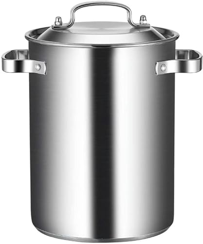 RUGPDA Casseroles pour friteuse,marmite Haute en Acier Inoxydable 304 avec Couvercle,Casserole Profonde avec Panier Filtre,poêle à gaz, Casserole Haute pour Faire bouillir Les Asperges