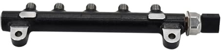 Galloparts Common Rail 7030409 28240435 Compatible avec Mini Pelles E45 E50 E55 E85 E32 E35 E42 Compatible avec les moteurs D18 D24