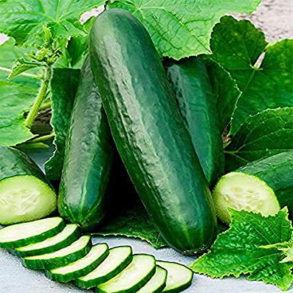 Vision4ever 50 pcs Hanging Mini Cucumber Organic Cucumber Seed Snack Vegetable Fruit Seeds High Yield Perennial Hardy for Garden