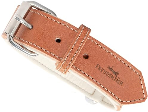 FREUDENTIER® Hundehalsband aus Leder, Made in EU, gefüttert & super komfortabel, hochwertiges breites Lederhalsband aus Vollnarbenleder, Model “Amstelpark” (27.5-38cm Halsumfang, Cognac)