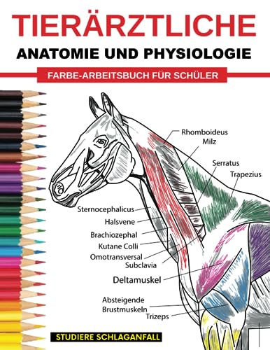 Tierärztliche Anatomie Und Physiologle Farbe-arbeitsbuch Für Schüler: Einfacher und effektiver Leitfaden zur Selbsteinschätzung, Prüfungsvorbereitung ... der Veterinärmedizin und Krankenpflege