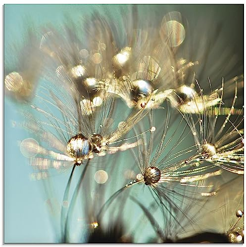 ARTLAND Wanddeko Glasbilder Wandbild Glas Bild einteilig 40 x 40 cm Quadratisch Innere Ruhe Wellness Natur Pflanzen Blumen Pusteblume Regen Tau Tropfen Gold Sonnenaufgang S9LP